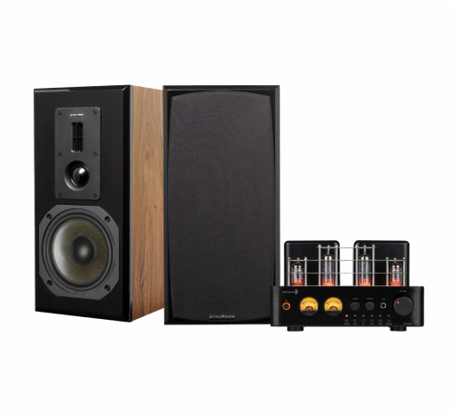 Dayton Audio HTA100 & Dynavoice DM-6 MKII eik stereopakke stativhøyttalere i gruppen Pakker / HiFi - musikkanlegg hos Ljudfokus (SETHTA100PKT3)