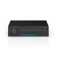 Arylic LP100 nettverkstreamer med AirPlay 2, Google Cast, HDMI & RIAA-trinn