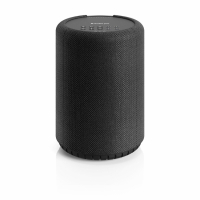 Audio Pro A10 MKII W Wifi-høyttaler med Chromecast & AirPlay 2, svart