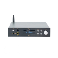 Cayin BTC-2 hodetelefonforsterker med DAC & Bluetooth, svart