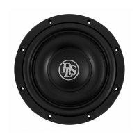 DLS Reference RCS10.D2, slank 10-tommers basselement