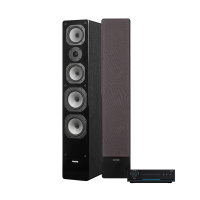 Arylic LA150 & Dynavoice Challenger M-65 EX v4 svarte strømmepakke stereo