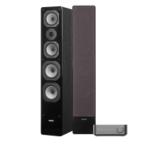 WiiM Amp & Dynavoice Challenger M-65 EX v.4 stereopakke