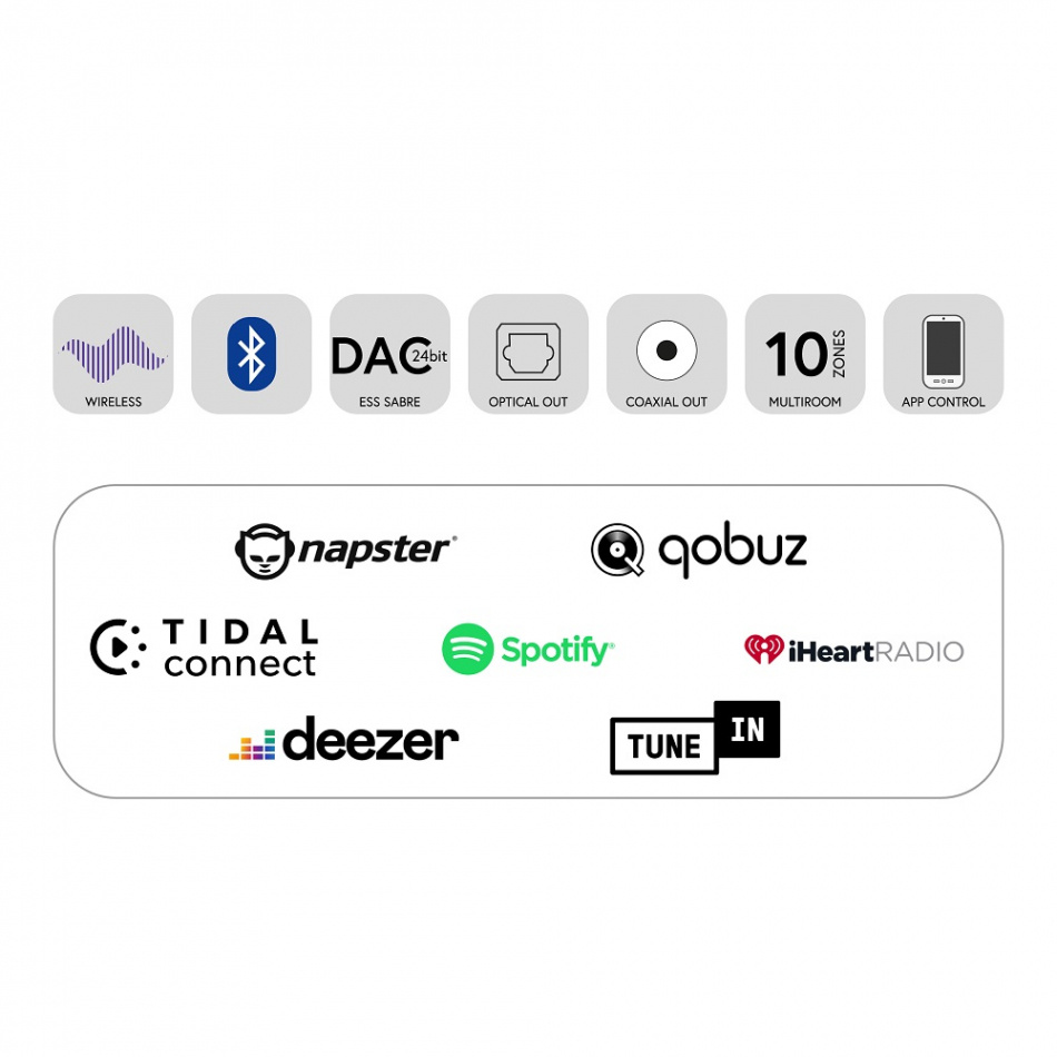 TAGA Harmony TWA-10B nettverksstreamer med Tidal Connect, svart