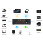 Arylic LP20 nettverksstreamer med AirPlay 2, Google Cast og subutgang Arylic LP20 nettverksstreamer med AirPlay 2, Google Cast og subutgang