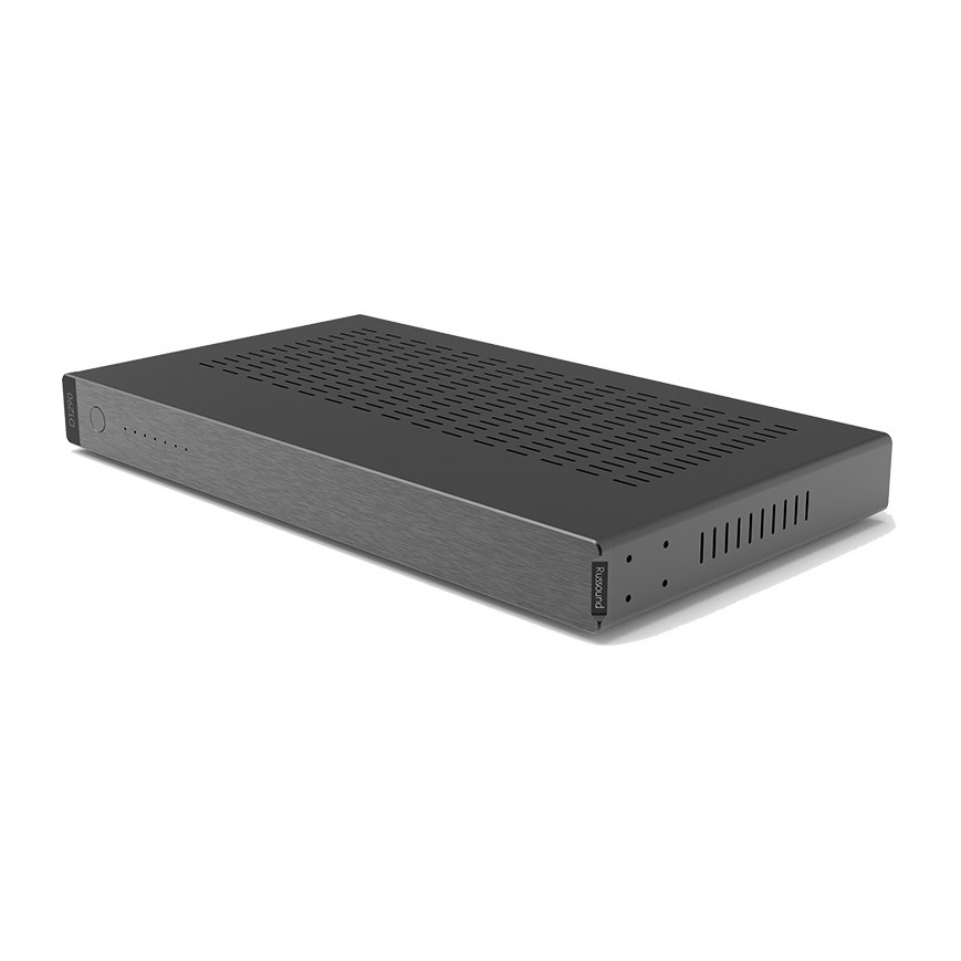 Russound D1290 multisonforsterker med 12-kanaler & høy-/lavpassfilter