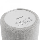 Audio Pro A10 MKII W Wifi-høyttaler med Chromecast & AirPlay 2, lysegrå Audio Pro A10 MKII W Wifi-høyttaler med Chromecast & AirPlay 2, lysegrå