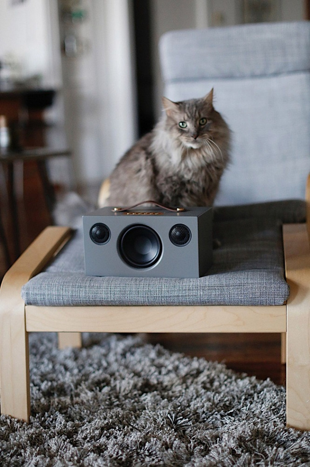 Audio Pro Addon T3+ bærbar Bluetooth-høyttaler, grå