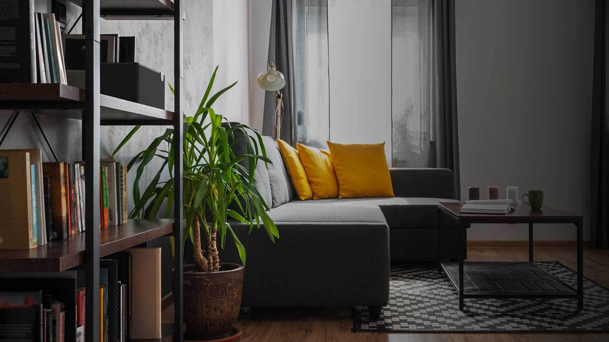 Klipsch The Three Plus aktiv høyttaler med Bluetooth & USB-C, ebony