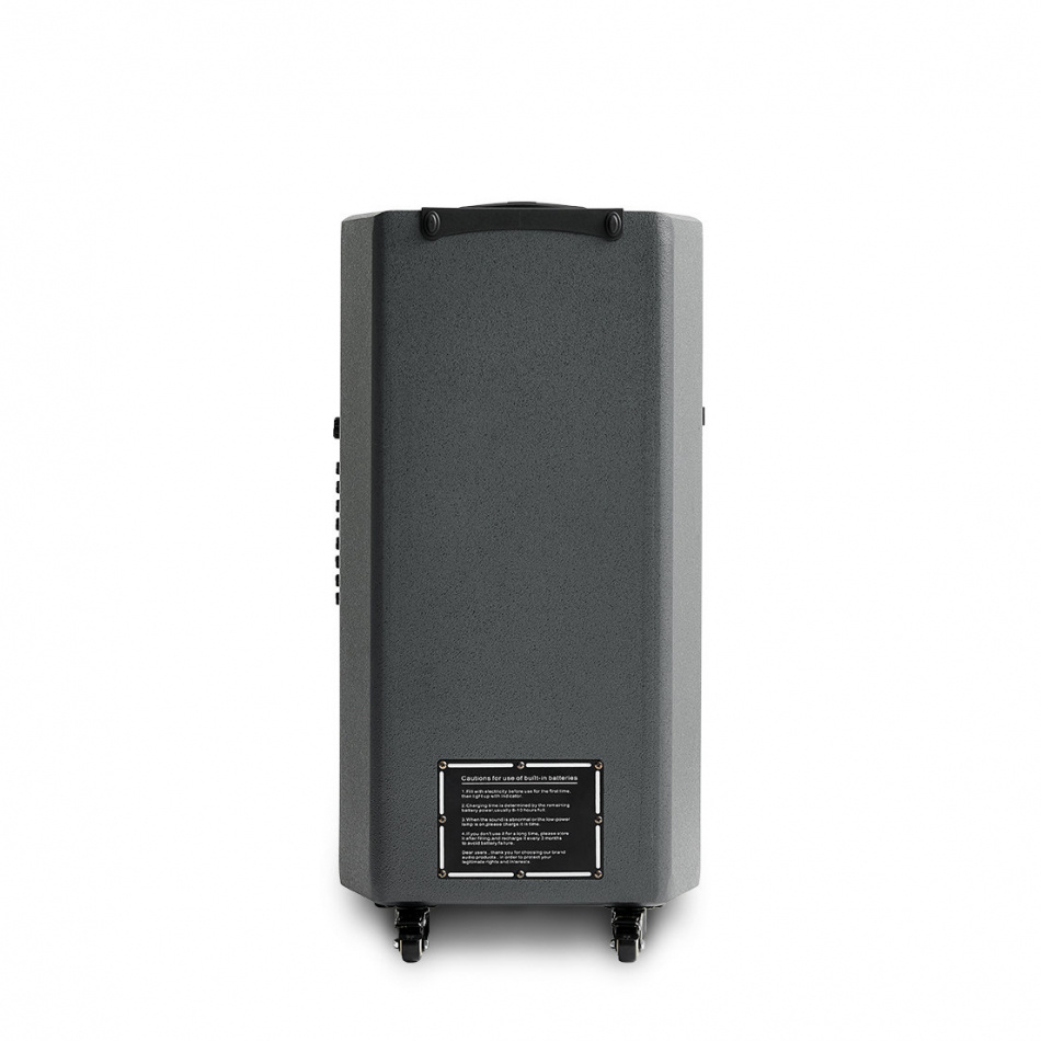 Eltax Voyager BT15 PRO MKII partyhøyttaler med Bluetooth & karaoke