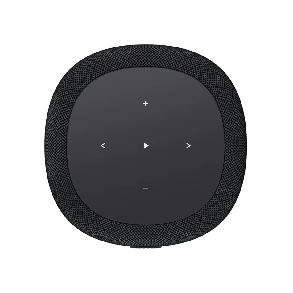 WiiM Sound Lite streaminghøyttaler med AI RoomFit, svart