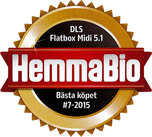 DLS Flatsub Midi veggmonterbar aktiv subwoofer, matt svart