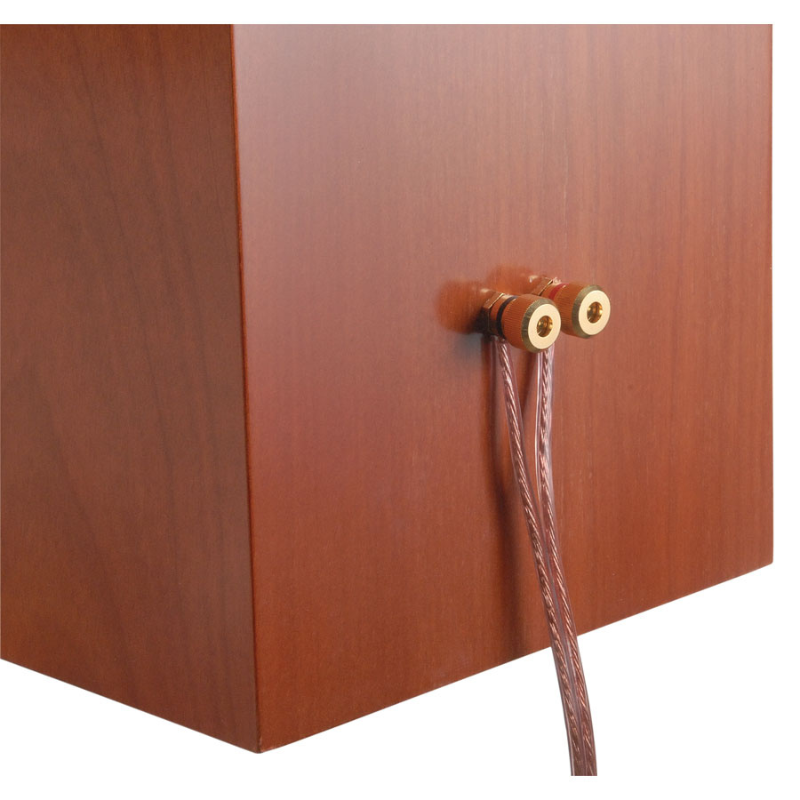 Dayton Audio BPA-38G gullbelagte høyttalerterminaler, par