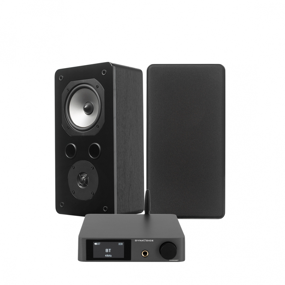 Dynavoice CA802BT & Challenger S-5 EX v.4 stereopakke