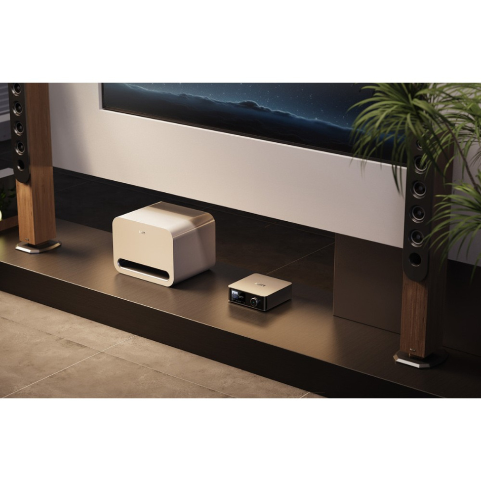 WiiM Sub Pro kompakt trådløs subwoofer, hvit 2-PACK