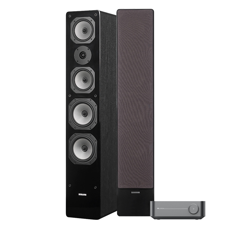 WiiM Amp & Dynavoice Challenger M-65 EX v.4 stereopakke